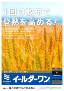 イールダーワン
