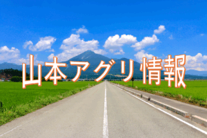 山本アグリ情報 2025年夏号
