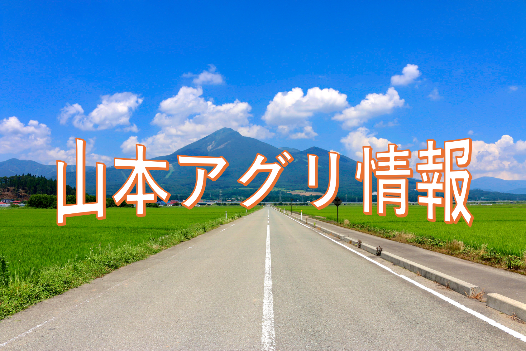 山本アグリ情報　2025年夏号