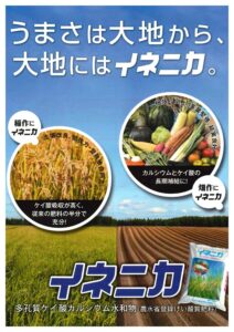 イネニカ