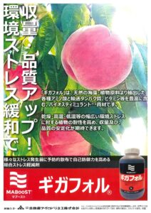 ギガフォル