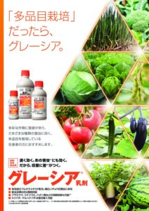 グレーシア乳剤（蔬菜用　殺虫剤）