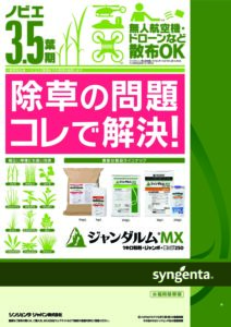ジャンダルムMX（水稲用　初中期一発剤）