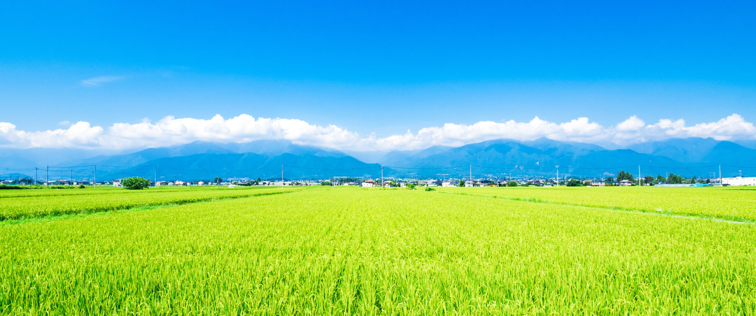 人と大地の未来をみつめて。